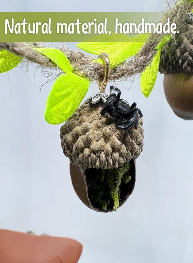 Daerky Jumping Spider Hide, Magnetic Climbing Rope Bridge, Handmade Real Acorn Hideaway Cave, Spider Platform, Decorative Accessory for Small Reptile Enclosures (Style 2) - Image 5